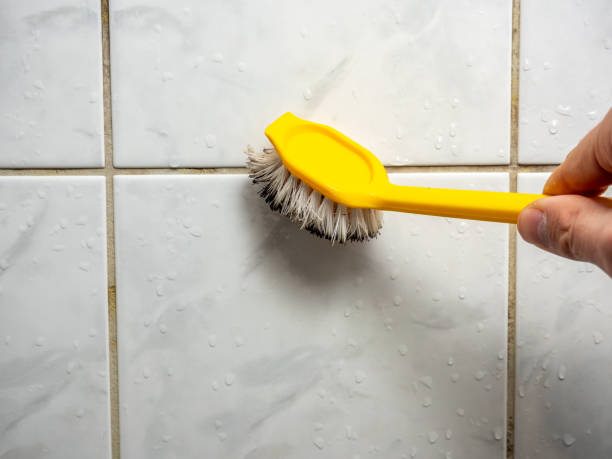 Best Toxic Mold Removal  in South Dos Palos, CA