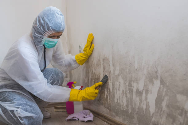 Best Crawl Space Mold Removal  in South Dos Palos, CA