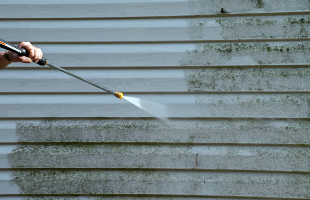 Best Commercial Mold Removal  in South Dos Palos, CA
