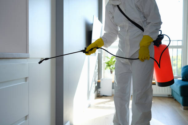 Water Damage Restoration in South Dos Palos, CA