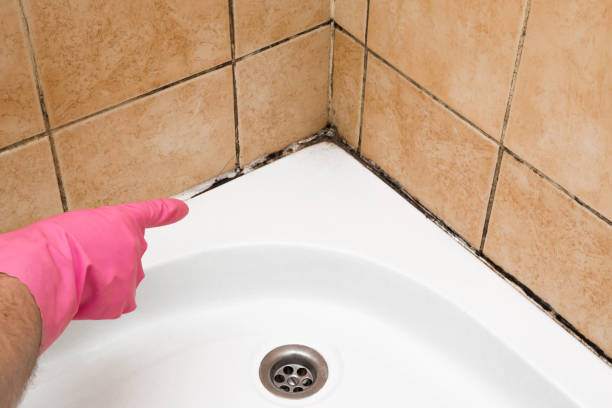 Best Local Mold Removal Service  in South Dos Palos, CA